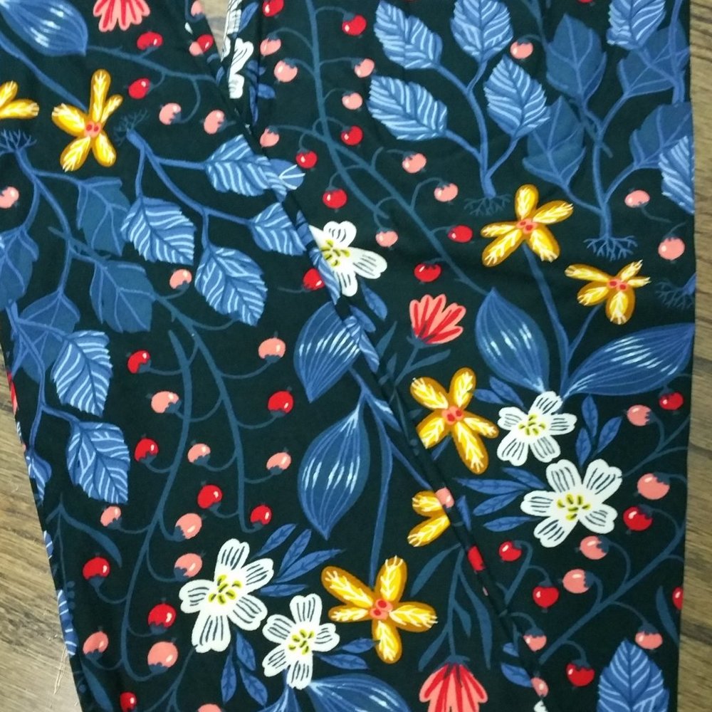 Agnes & Dora Leggings Size S L XL Baby Suede Sweet & Wild Floral NWT